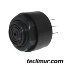 45179_geesink_979504