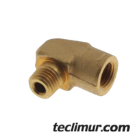 55196_faun_5240576_504201